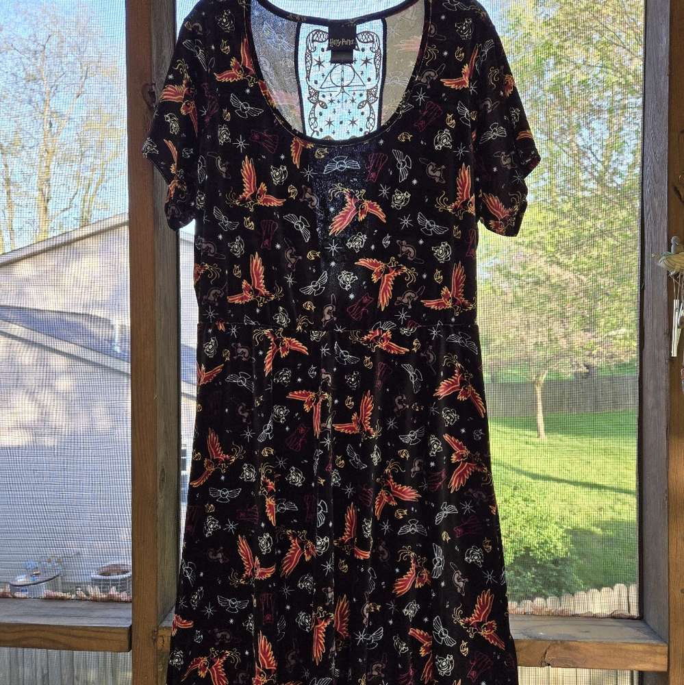 Harry Potter Pets Black Lace Dress